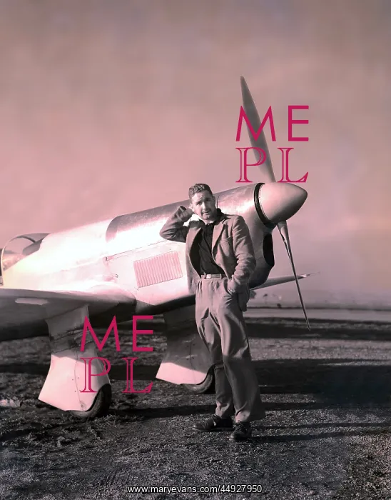 : Percival P-6 Mew Gull E2H : Percival P-6 Mew Gull E2H