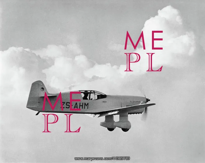 : Percival P-6 Mew Gull E2H : Percival P-6 Mew Gull E2H