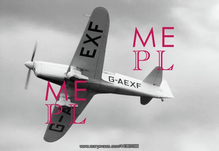 : Percival P-6 Mew Gull E2H