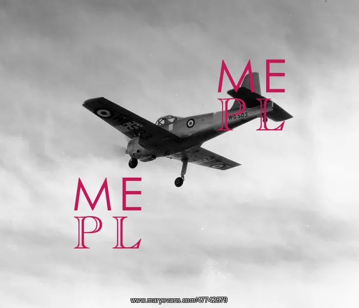 : Percival P.56 Mk.II WG503 : Percival P.56 Mk.II WG503