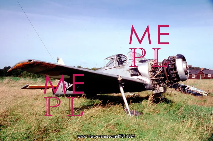 : Percival P.56 Provost T.53 181 : Percival P.56 Provost T.53 181