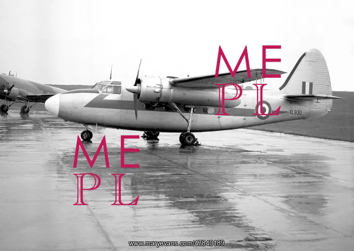 : Percival Pemboke C.1 XL930 : Percival Pemboke C.1 XL930