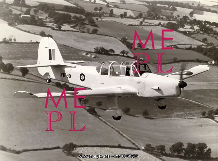 : Percival Prentice T1, VR190 : Percival Prentice T1, VR190