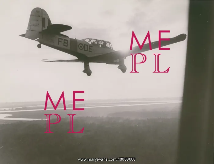 : Percival Prentice T1, VR310 : Percival Prentice T1, VR310