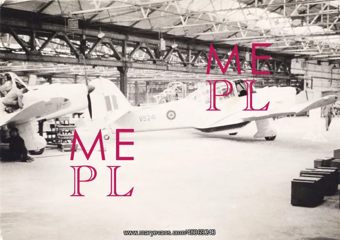 : Percival Prentice T1, VS241 : Percival Prentice T1, VS241