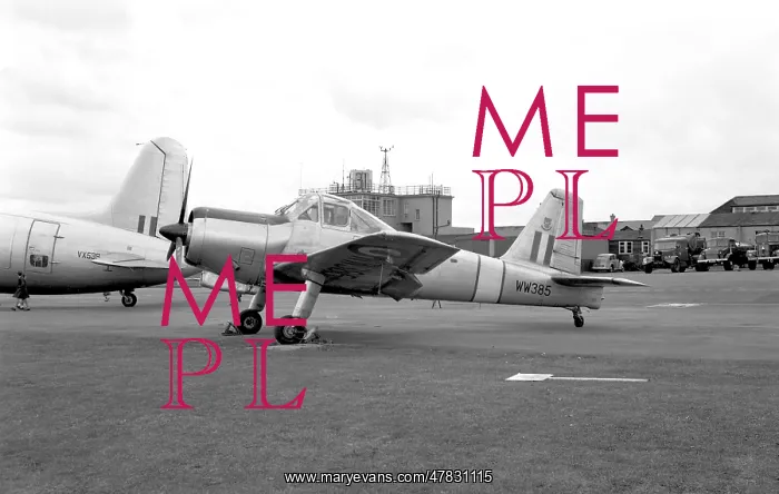 : Percival Provost T.1 WW385 : Percival Provost T.1 WW385