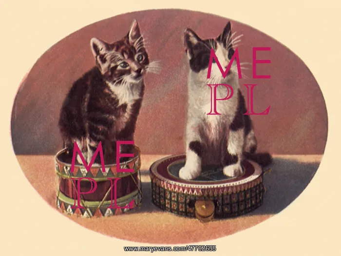  : Percussion Cats
