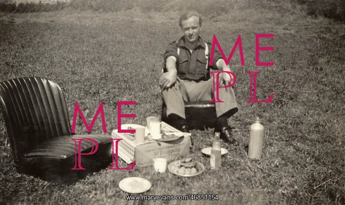 : Perfect Picnic Seating : Perfect Picnic Seating