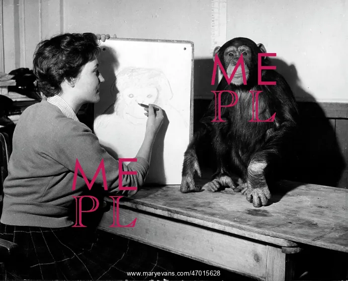 : A Perfect Poser : A Perfect Poser