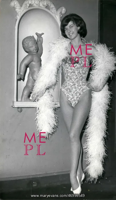 : Performer in Cabaret Show, The New Eve : Performer in Cabaret Show, The New Eve