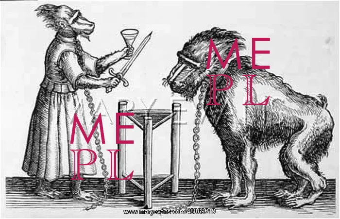  : Performing Baboons