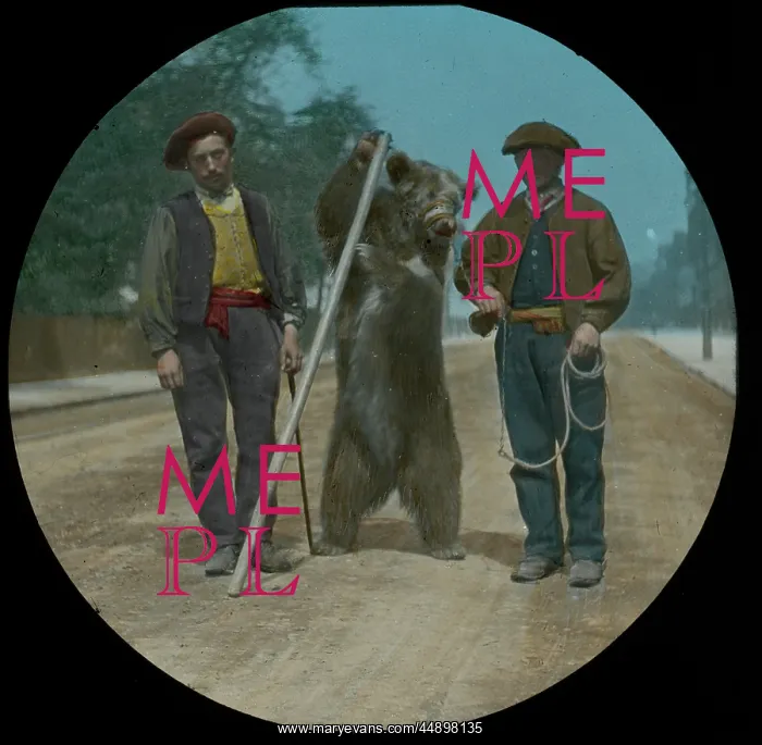 : Performing Bear with Pole : Performing Bear with Pole