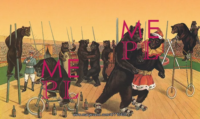  : Performing Bears