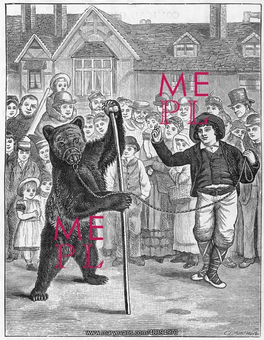  : The Performing Dancing Bear