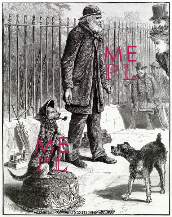 : Performing Dog in Highgate 1895 : Performing Dog in Highgate 1895