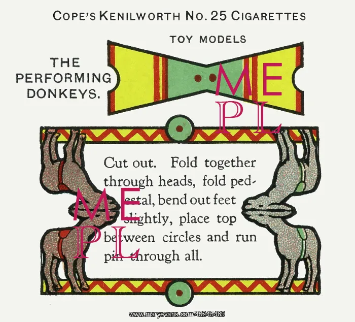: Performing donkeys : Performing donkeys