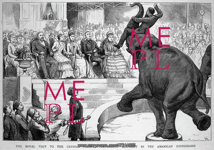 : PERFORMING ELEPHANT : PERFORMING ELEPHANT