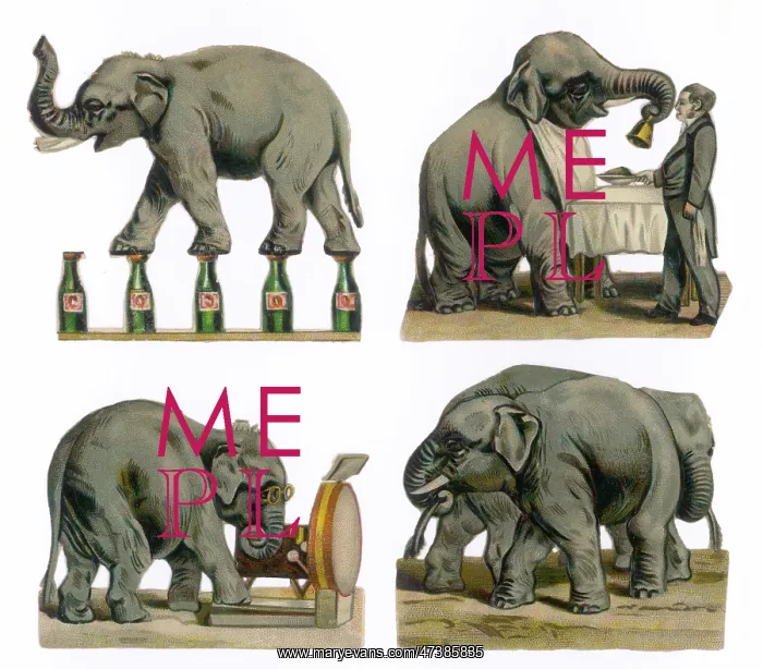 : PERFORMING ELEPHANTS : PERFORMING ELEPHANTS