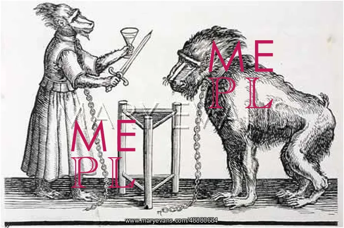  : PERFORMING MONKEYS / 1625