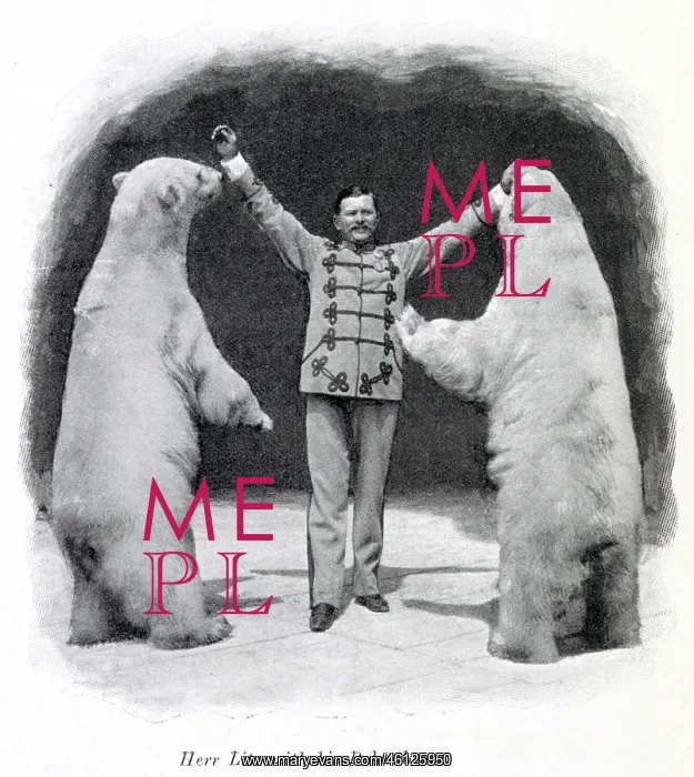 : Performing polar bears 1903 : Performing polar bears 1903