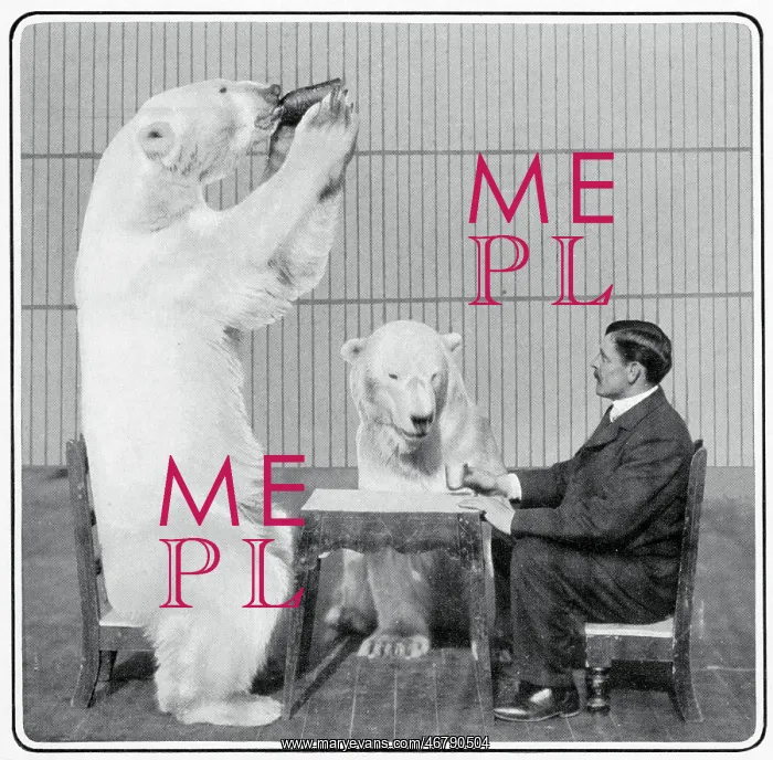 : Performing Polar Bears 1903 : Performing Polar Bears 1903