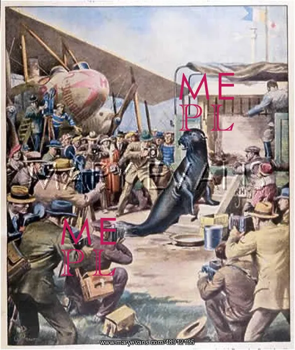 : PERFORMING SEAL 1934 : PERFORMING SEAL 1934