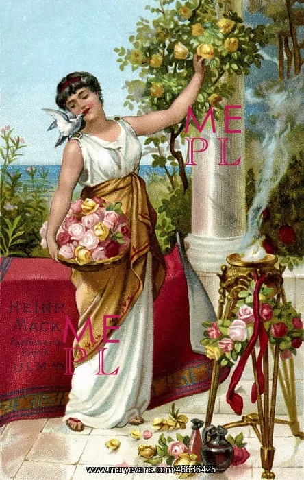 : Perfume advert : Perfume advert