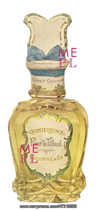 : Perfume Bottle - circa 1900 : Perfume Bottle - circa 1900