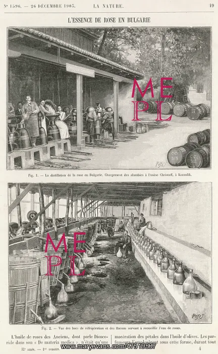 : The perfume industry in Bulgaria : The perfume industry in Bulgaria