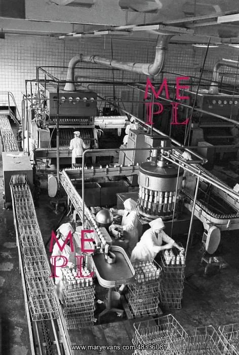 : Perm milk plant, 1987 : Perm milk plant, 1987