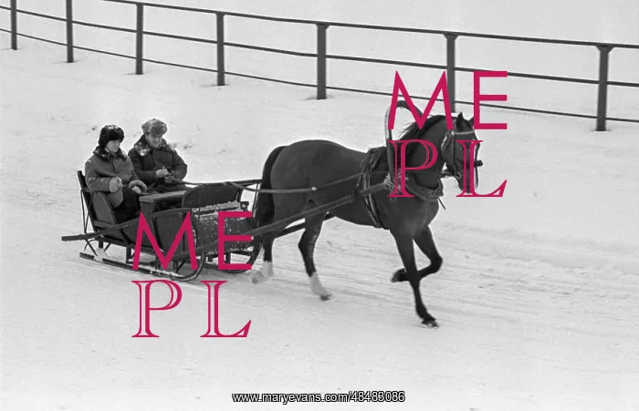 : Perm stud farm : Perm stud farm