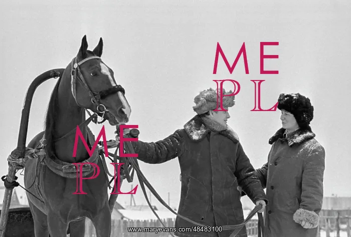 : Perm stud farm : Perm stud farm