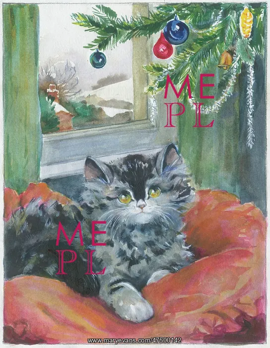 : Persian cat on a cushion : Persian cat on a cushion