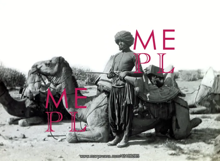  : Persian guard and camels, Iran