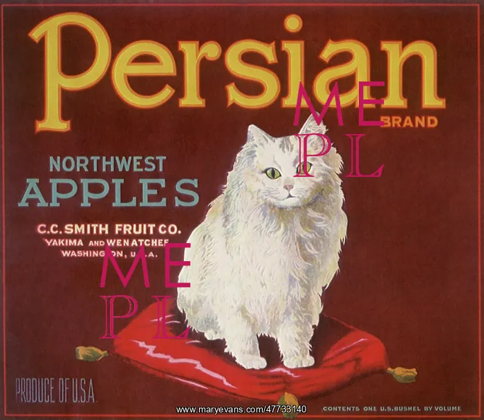  : Persian Northwest Apples