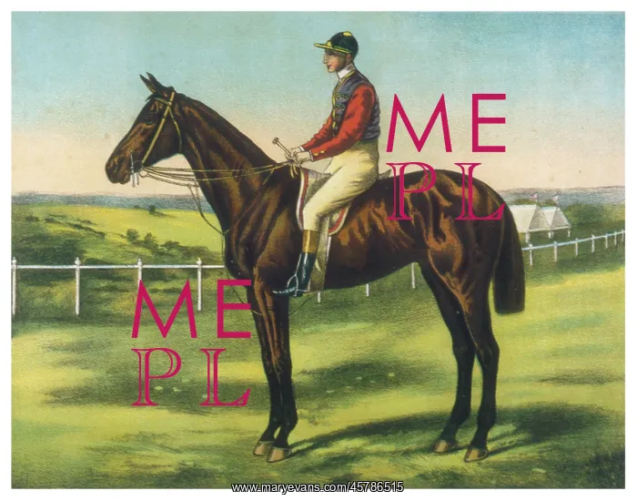  : Persimmon (Racehorse)