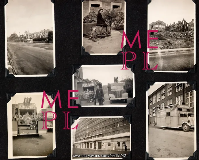 : Personal photos : Personal photos