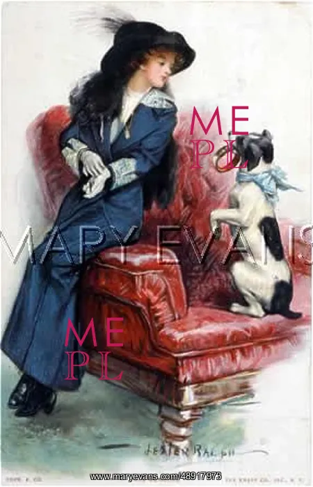 : PERSUASIVE DOG : PERSUASIVE DOG