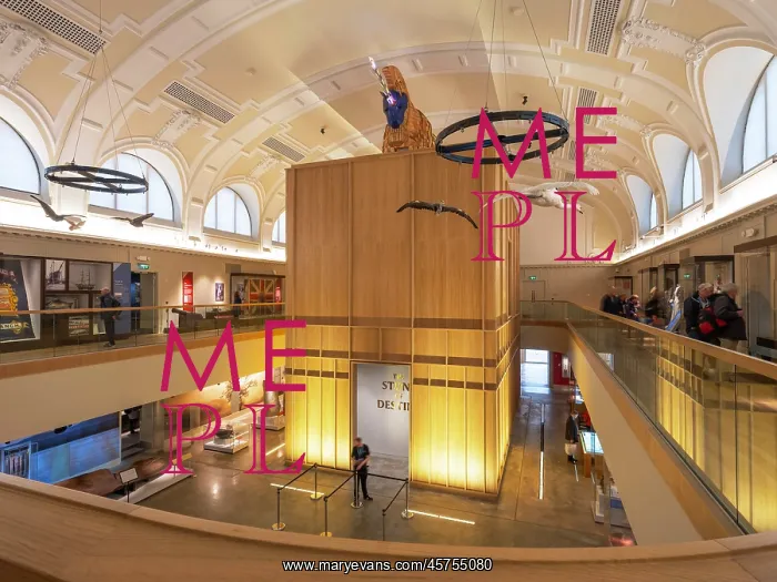 : Perth Museum, Perth, Scotland : Perth Museum, Perth, Scotland