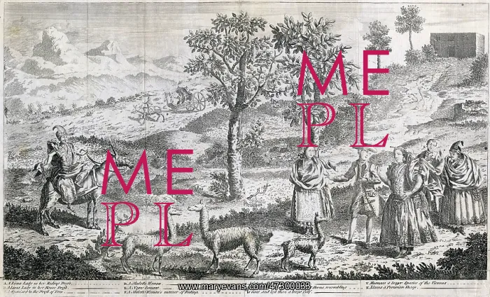 : PERU IN 1753 : PERU IN 1753
