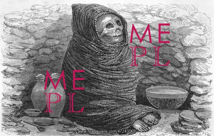  : PERUVIAN INDIAN MUMMY