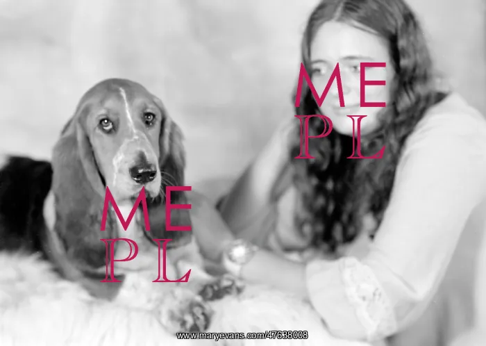  : Pet Dog called Bracket