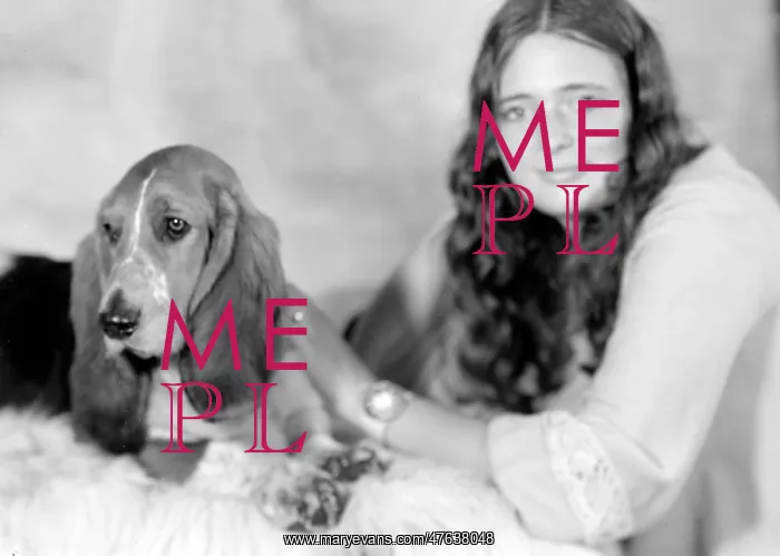  : Pet Dog called Bracket