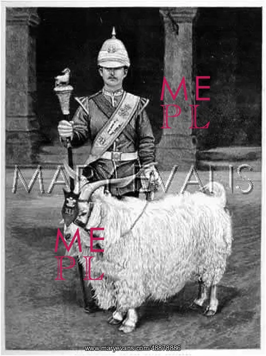 : PET GOAT OF WELSH REGT : PET GOAT OF WELSH REGT