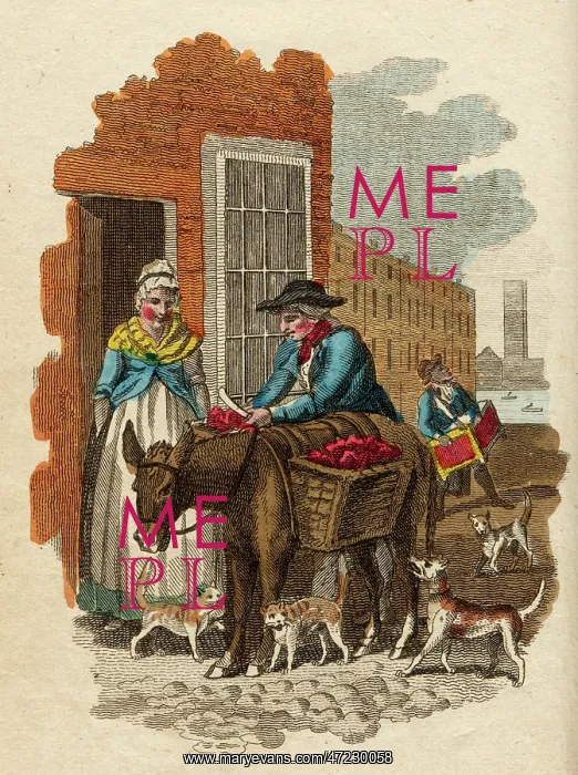  : PET MEAT / CRIES OF LONDON