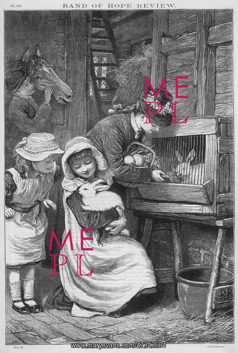 : PET RABBITS 1879 : PET RABBITS 1879