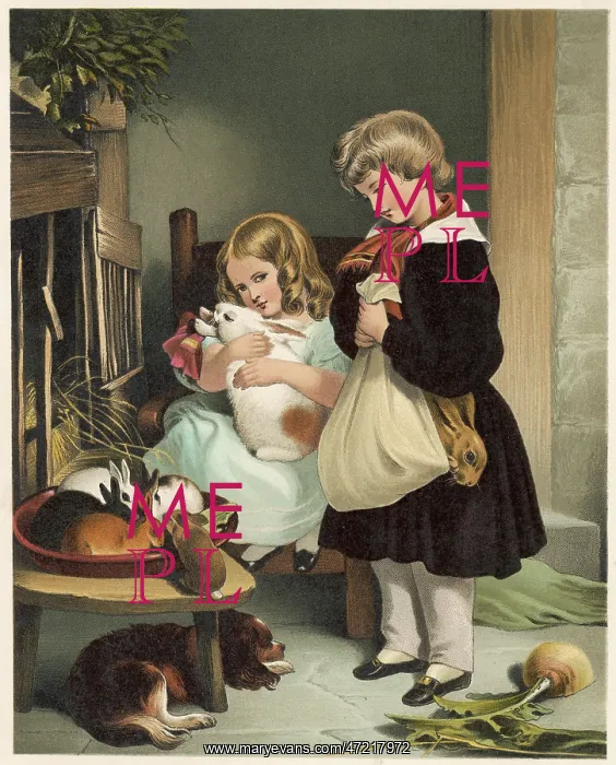 : PET RABBITS C1860 : PET RABBITS C1860