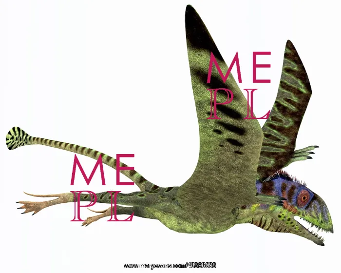 : Peteinosaurus pterosaur from the Triassic Period : Peteinosaurus pterosaur from the Triassic Period