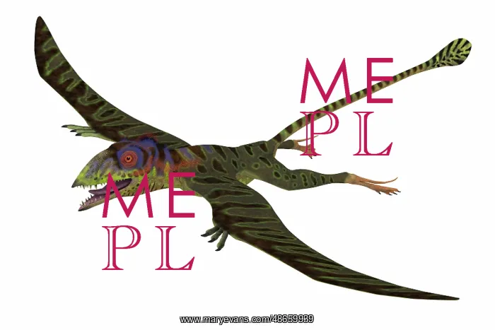 : Peteinosaurus, side view on white background : Peteinosaurus, side view on white background