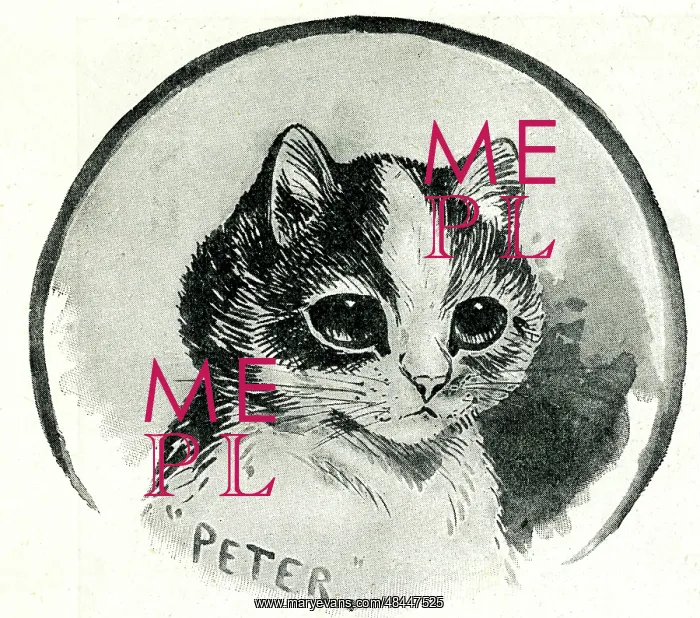 : Peter the Cat by Louis Wain : Peter the Cat by Louis Wain